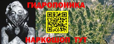 метадон Будённовск